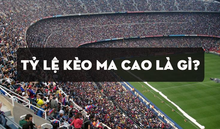 Những loại kèo Ma Cao phổ biến nhất