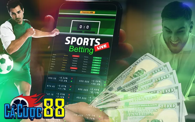 Góc nhìn chuyên gia: Có thể làm giàu, nhưng không dành cho số đông